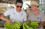 Mô hình "2 cây, 1 con" có gì đặc biệt mà Bầu Đức khẳng định sẽ mang lại lợi nhuận 2.000 tỷ đồng/năm cho HAGL?