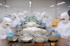 Xuất khẩu thủy sản khởi sắc, đơn hàng về tới tấp, cổ phiếu nhiều doanh nghiệp bật tăng