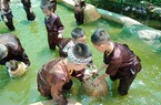 Một nông dân Khánh Hòa làm khu trải nghiệm sinh thái, trẻ em lội nước úp nơm, khách Tây cũng thấy mê