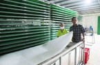 Chủ lò bánh tráng ở Củ Chi đầu tư khủng, mỗi ngày sản xuất 10 tấn, thu hơn 300 triệu đồng