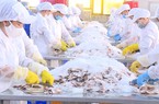 Báo động ô nhiễm từ các cơ sở chế biến thủy sản, ngành thủy sản Việt Nam muốn xây các nhà máy, làng nghề xanh
