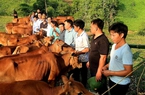 Hà Giang nỗ lực triển khai Chương trình mục tiêu quốc gia góp phần phát triển kinh tế - xã hội vùng biên giới
