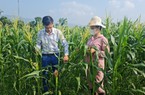 Điện Biên: Bắt tay đào tạo nghề, giải quyết việc làm cho lao động nông thôn