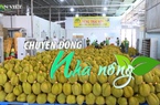 Chuyển động Nhà nông 3/9: Xuất khẩu sầu riêng cán mốc 1,2 tỷ USD sau 8 tháng
