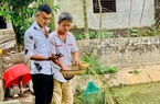 Nông dân Hưng Yên làm giàu với mô hình chăn nuôi mới, cây trồng mới