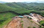 Những lưu ý quan trọng khi chuyển nhượng đất nông nghiệp năm 2023