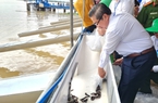 Thả xuống sông Hậu ở Cần Thơ hơn 1 triệu con cá, có cả cá hô, cá vồ cờ, cá bông lau, cá mè vinh
