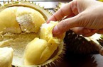 Giá sầu riêng ngày 6/9: Sầu Thái ngắt đà giảm, đứng ở mốc 85.000 đồng/kg, sầu Ri6 vẫn bán tốt