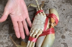 Khu rừng ngập mặn đẹp như phim gần 3.000ha ở Quảng Ninh, dân bắt con cua to như bàn tay chắc thịt