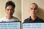 Khởi tố hình sự đối tượng nhổ trộm sâm Ngọc Linh ở Quảng Nam