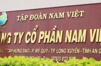 Nam Việt (NAV) báo lãi vượt 56% kế hoạch năm