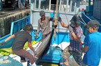 Khánh Hòa: Kim ngạch xuất khẩu các mặt hàng thủy sản đạt 729 triệu USD