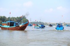 Một ngư dân ở Quảng Nam bị phạt hơn 370 triệu đồng