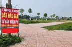 Đấu giá đất huyện Hoài Đức: 52 thửa "lên sàn", vị trí sát lô trúng kỷ lục 133,3 triệu đồng/m2