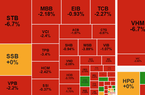 VN-Index 'bốc hơi' 13 điểm, VHM, STB bị bán mạnh, QCG 'đột ngột' tím trần