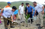 Nha Trang: Trồng 300 cây hoa giấy, bàng và dừa trên đảo Bích Đầm 
