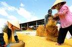 Trong cơn sốt tăng giá gạo, "soi" các ông lớn ngành gạo: Lợi nhuận phân hoá mạnh