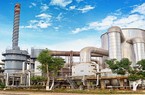 Hóa chất Đức Giang chi 253 tỷ đồng mua lại nhà máy bị kê biên tại Đắk Nông