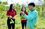 Agribank Quảng Trị và hành trình hiện thực hóa sứ mệnh “tam nông”