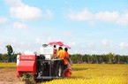 Angimex sắp thoái toàn bộ vốn tại Công ty AGM Agritech