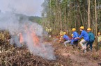 Tỉnh Quảng Nam cần được hỗ trợ gần 25 tỷ đồng để phòng chống chữa cháy rừng