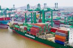 Viconship (VSC) muốn vay 1.450 tỷ đồng tại Eximbank để thâu tóm toàn bộ cảng Nam Hải Đình Vũ