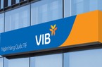 VIB: Lợi nhuận đạt 4.600 tỷ, tín dụng và huy động vốn tăng trưởng 5% trong 6 tháng đầu năm 2024.