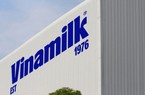 Vinamilk (VNM): Lợi nhuận tăng hơn 20%, trữ tiền gần 1 tỷ USD