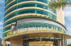 Đức Long Gia Lai (DLG) xin hoãn nộp báo cáo tài chính bán niên 2024