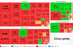 VN-Index giảm 12,5 điểm, cổ phiếu hàng tiêu dùng trụ vững