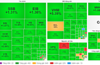 VN-Index bật tăng gần 20 điểm, tiến sát mốc 1.260 điểm