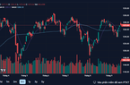 VN-INDEX vượt mốc 1.300 điểm trong năm nay hoàn toàn khả thi