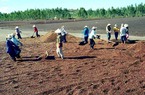 Doanh nghiệp ngoại lũng đoạn cà phê: Nhiều hệ lụy cho tương lai