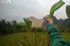 Quảng Ninh: Dân sống trong sợ hãi ở "Xóm động đất”