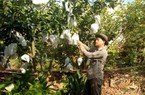 Huyện Mường La đã có xã đầu tiên đạt chuẩn nông thôn mới