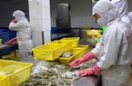 Bất ngờ cách Mỹ tính thuế chống bán phá giá tôm VN lên tới hơn 25%