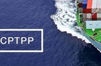 “Cú bắt tay” ngàn tỷ USD có hiệu lực, đại gia dệt may, thủy sản ngược dòng thị trường