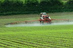 Chính phủ Hoa Kỳ tuyên bố nên đảo ngược phán quyết vụ Roundup