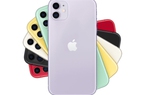 Sốc: iPhone 11 đạt điểm nhiếp ảnh DxOMark gần bằng iPhone 11 Pro Max