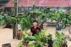 Vườn lan rừng "khủng" của 9X Quảng Nam, có 10.000 giò giả hạc