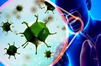 Các bác sĩ Trung Quốc cảnh báo sốc về việc tái nhiễm virus corona