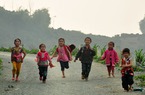 Nhựa sống miền cao nguyên đá