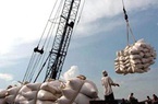 Việt Nam trúng thầu cung cấp 800.000 tấn gạo cho Philippines