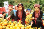 Tuyên Quang: 4 sản phẩm được công nhận thương hiệu  