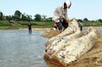 Nông dân đắp đập, nắn sông lấy nước cứu lúa