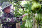 Đưa chính sách đến sát nông dân