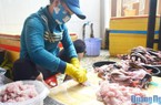 Làng chả cá Định Tân với nghề dùng muỗng để cạo thịt cá "đỏ lửa"