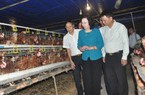 4 huyện “tăng tốc” để đạt chuẩn huyện NTM trong năm nay