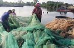 Thừa Thiên Huế: 300 thuyền của ngư dân có nguy cơ mắc cạn