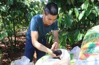 Bát nháo phân bón kém chất lượng ở Đăk Nông